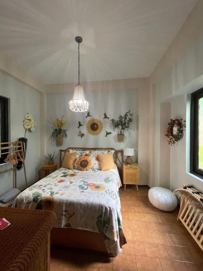 The Garden Apartment, The Willow Apartment, & The Tropical Apartment At Casa Of Essence In Old ซานฮวน ภายนอก รูปภาพ