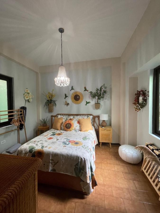 The Garden Apartment, The Willow Apartment, & The Tropical Apartment At Casa Of Essence In Old ซานฮวน ภายนอก รูปภาพ