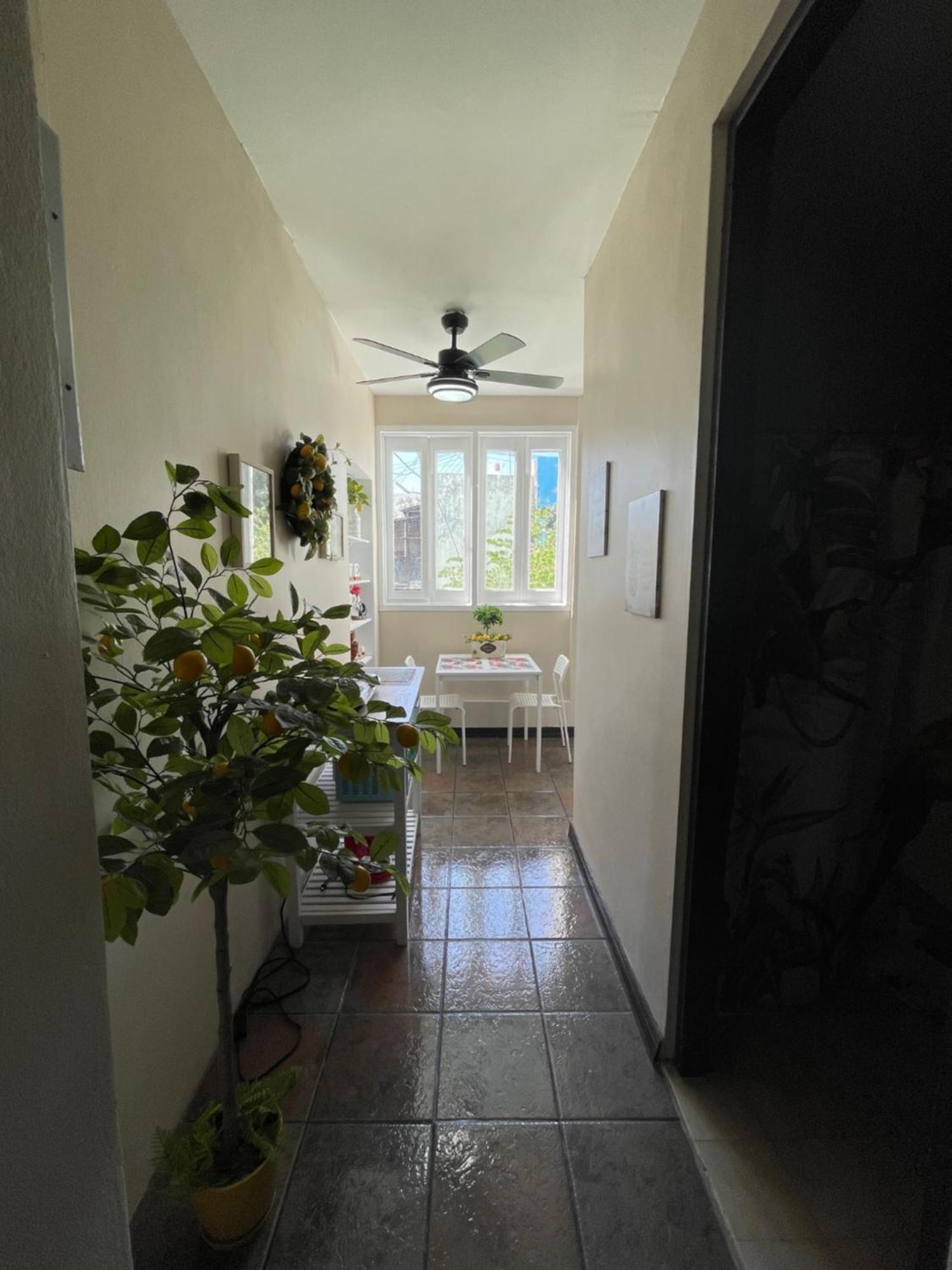 The Garden Apartment, The Willow Apartment, & The Tropical Apartment At Casa Of Essence In Old ซานฮวน ภายนอก รูปภาพ